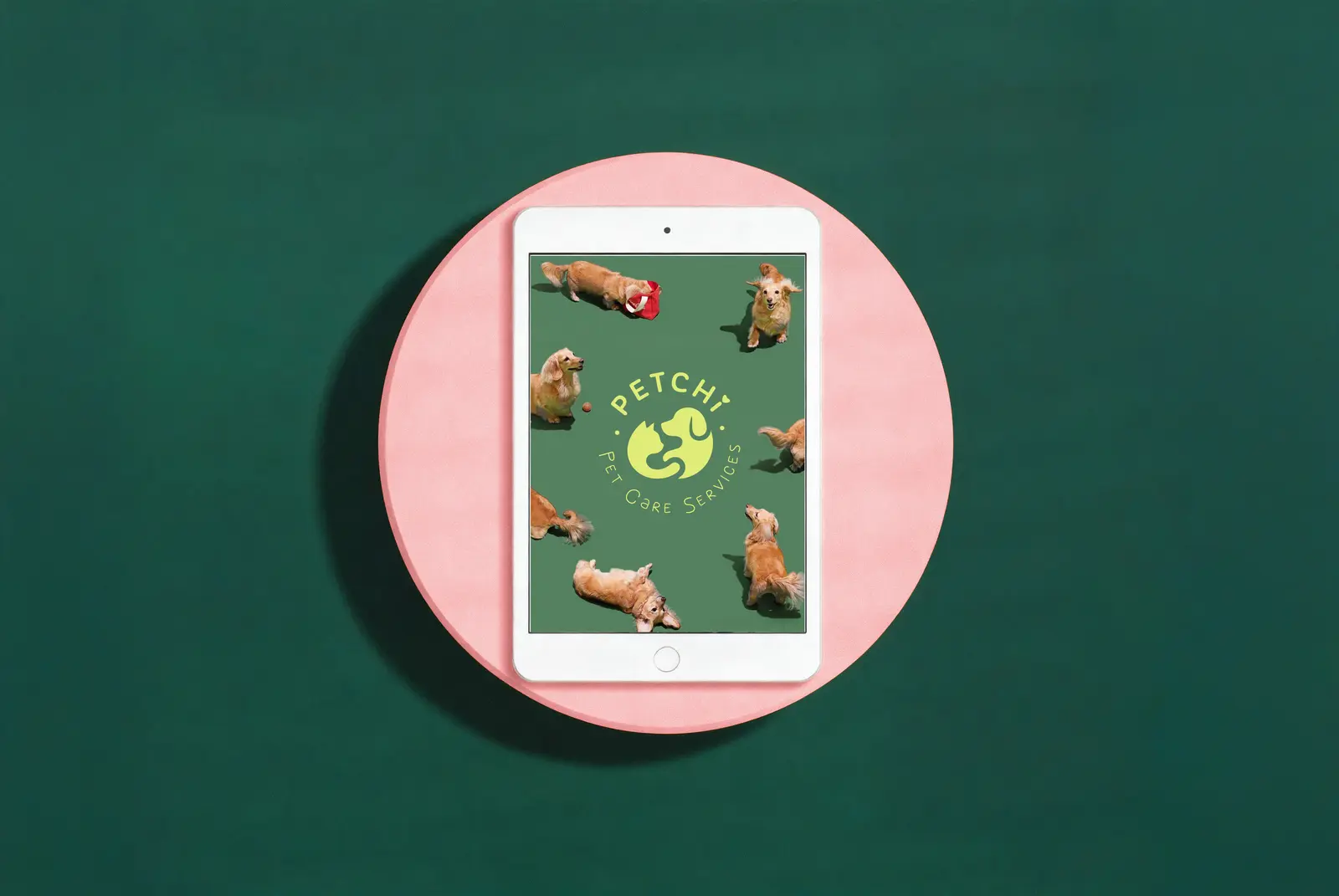 Petchi digital brand mockup displayed on a tablet