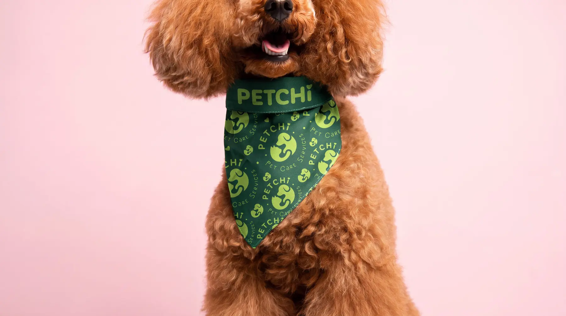 Happy dog wearing a forest-green Petchi bandana in the supplied final brand mockup